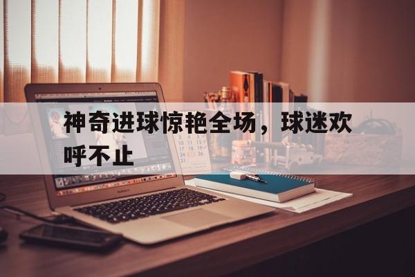 神奇进球惊艳全场，球迷欢呼不止的简单介绍
