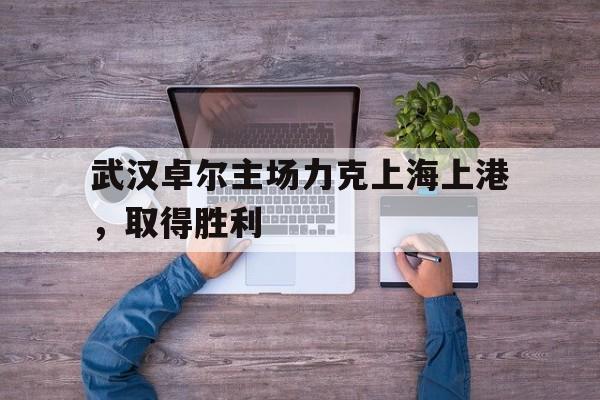 武汉卓尔主场力克上海上港，取得胜利的简单介绍